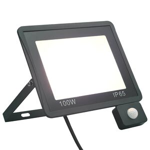 vidaXL Reflektor LED z czujnikiem, 100 W, zimne białe światło