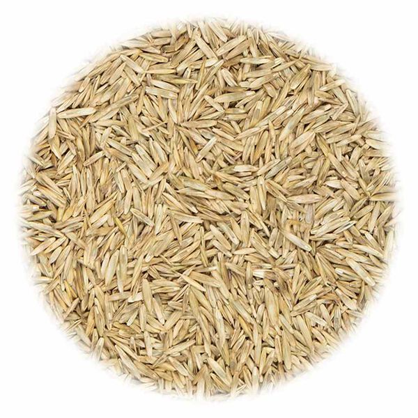 vidaXL Nasiona trawy boiskowej, 20 kg