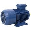 vidaXL Silnik elektr. 3-fazowy aluminium 1,5kW/2HP, 2 P, 2840 obr./min