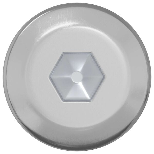 vidaXL Śruba 2 pcs Srebrny M6 x 120 mm Stal