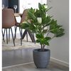 House Nordic Sztuczne drzewko Magnolia, 90 cm, zielone
