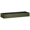 Olive_green