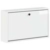High_gloss_white