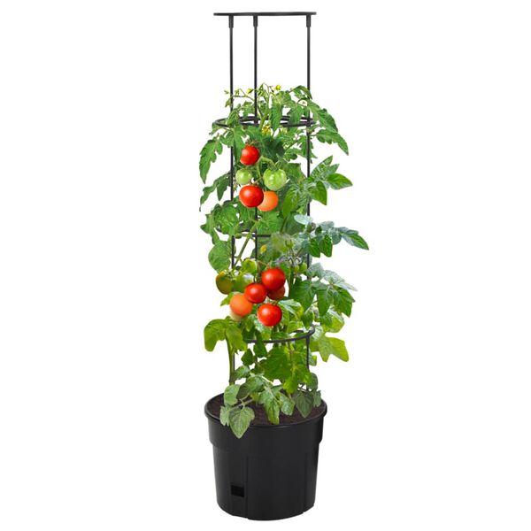 Wyświetlanie zdjęcia produktu 2 z 6