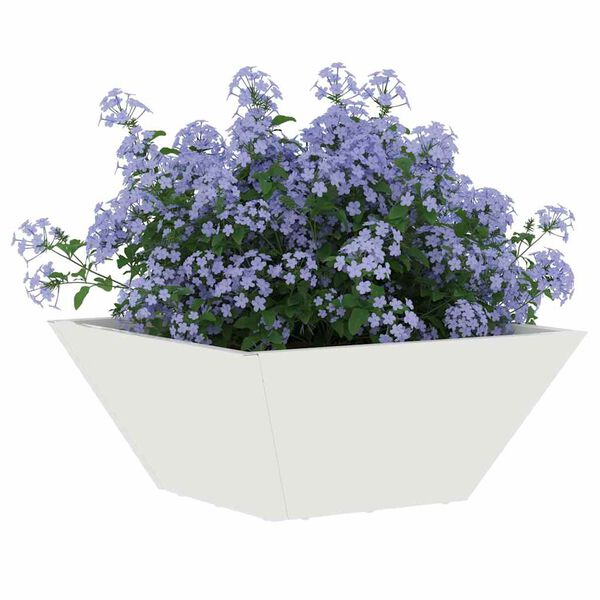 Wyświetlanie zdjęcia produktu 3 z 12