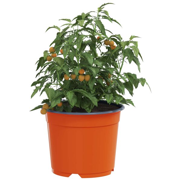 Wyświetlanie zdjęcia produktu 3 z 11