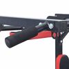 VidaXL Stacja do podciągania i dips&oacute;w Czarny i czerwony