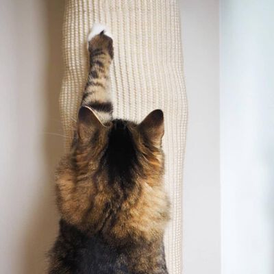 Quapas Worek wspinaczkowy dla kota, sizalowy, 180 cm