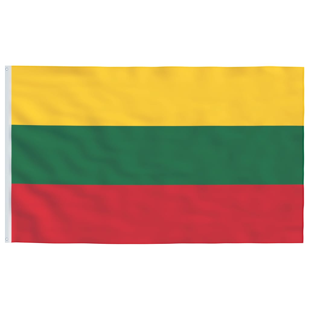 vidaXL Flaga Litwy z masztem, 6,23 m, aluminium