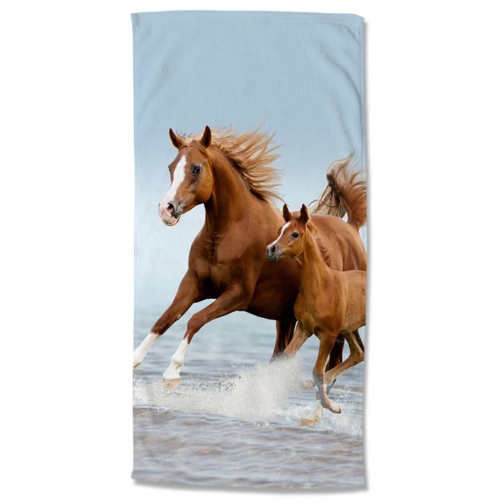 Good Morning Ręcznik plażowy FREE, 75x150 cm, brązowo-niebieski
