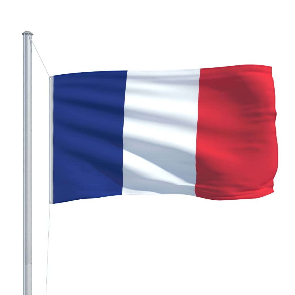 vidaXL Flaga Francji z aluminiowym masztem, 6,2 m