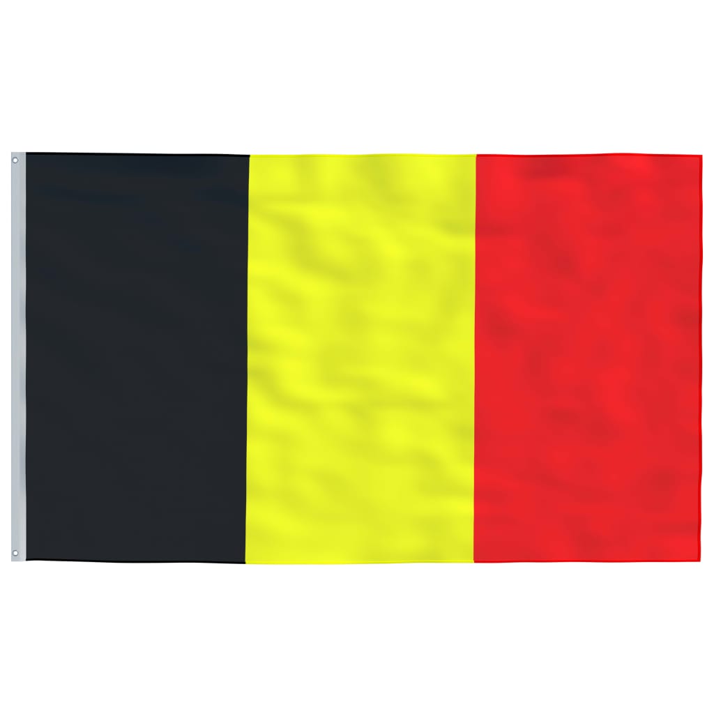 vidaXL Flaga Belgii z masztem, 5,55 m, aluminium