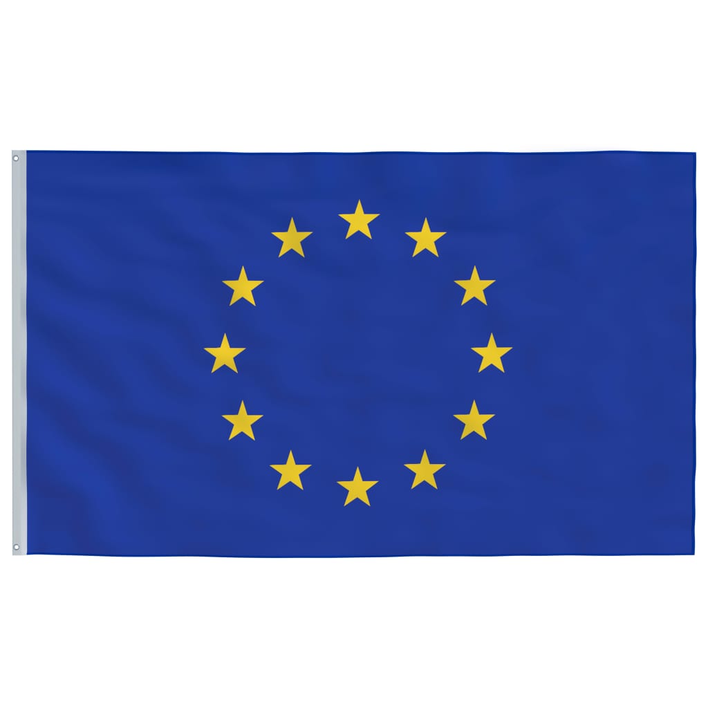 vidaXL Flaga Unii Europejskiej z masztem, 5,55 m, aluminium