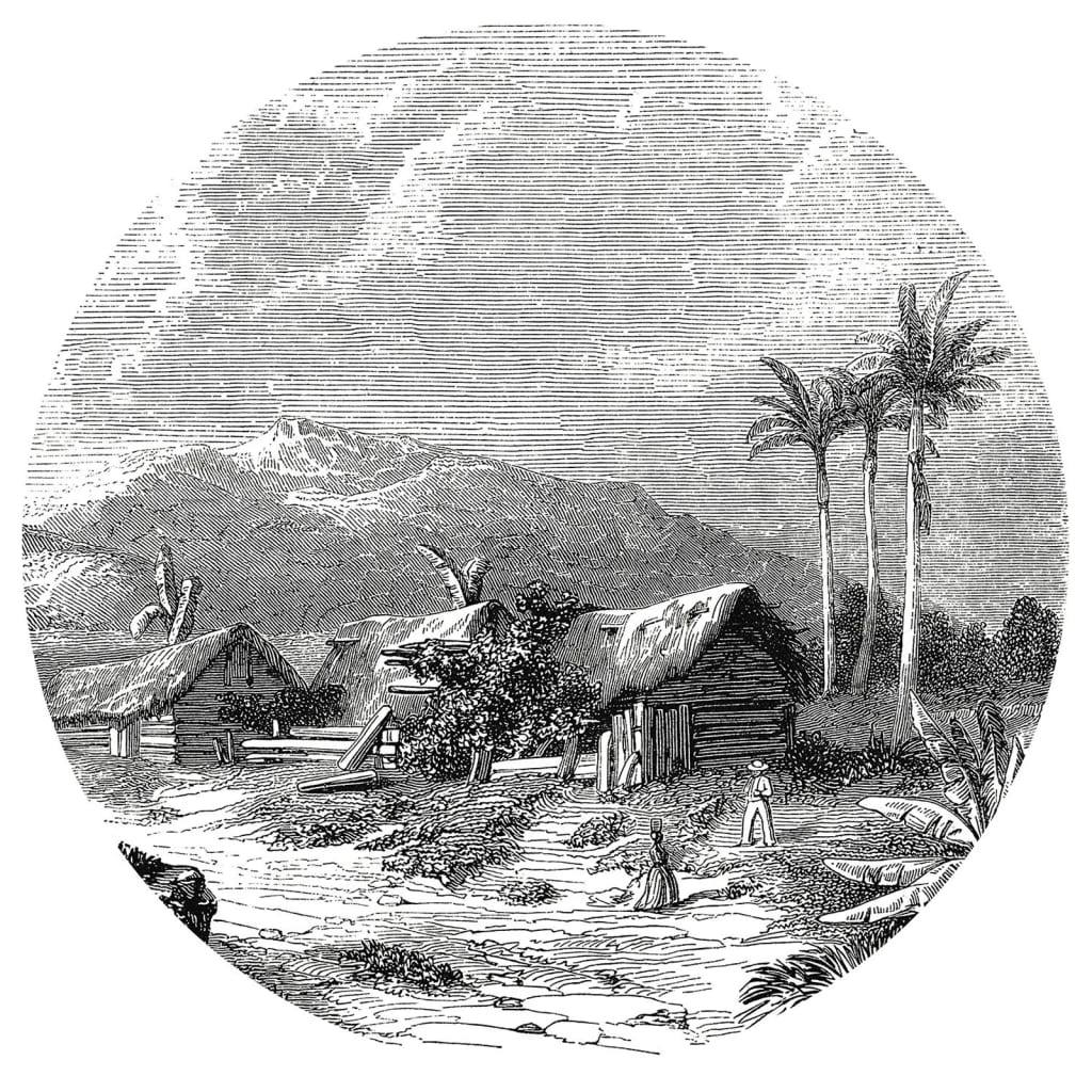 WallArt Okrągła fototapeta Landscape of Guadeloupe, 142,5 cm