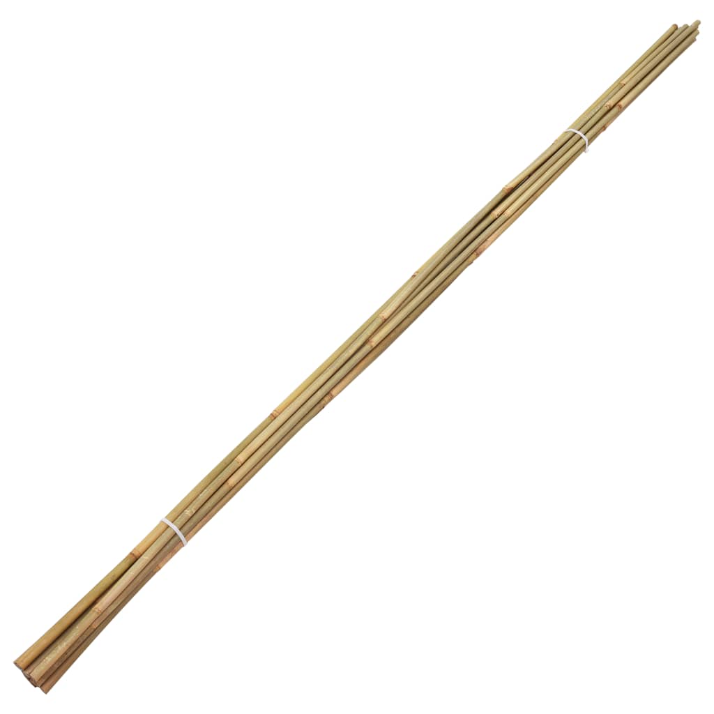 vidaXL Tyczki bambusowe do ogrodu, 50 szt., 170 cm