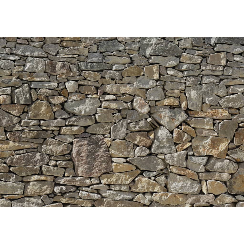 Komar Fototapeta Stone Wall, 368 x 254 cm, 8-727