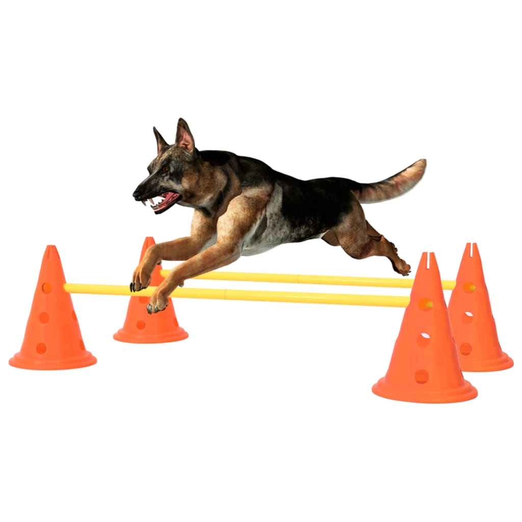 vidaXL Zestaw przeszkód treningowych dla psa, pomarańczowo-żółty