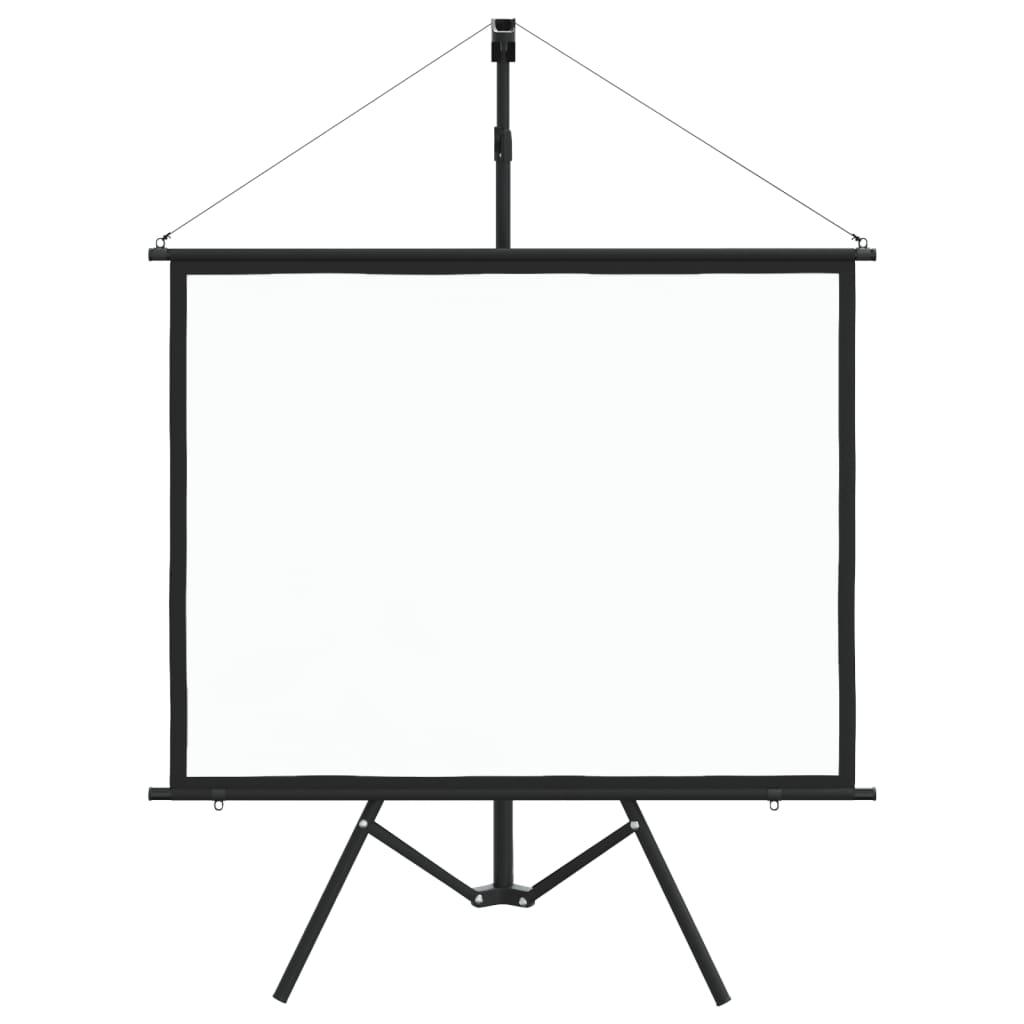 vidaXL Ekran projekcyjny ze stojakiem, 50'', 4:3