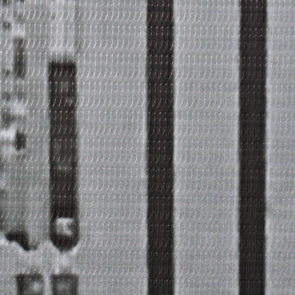 vidaXL Składany parawan, 120x170 cm, Nowy Jork za dnia, czarno-biały