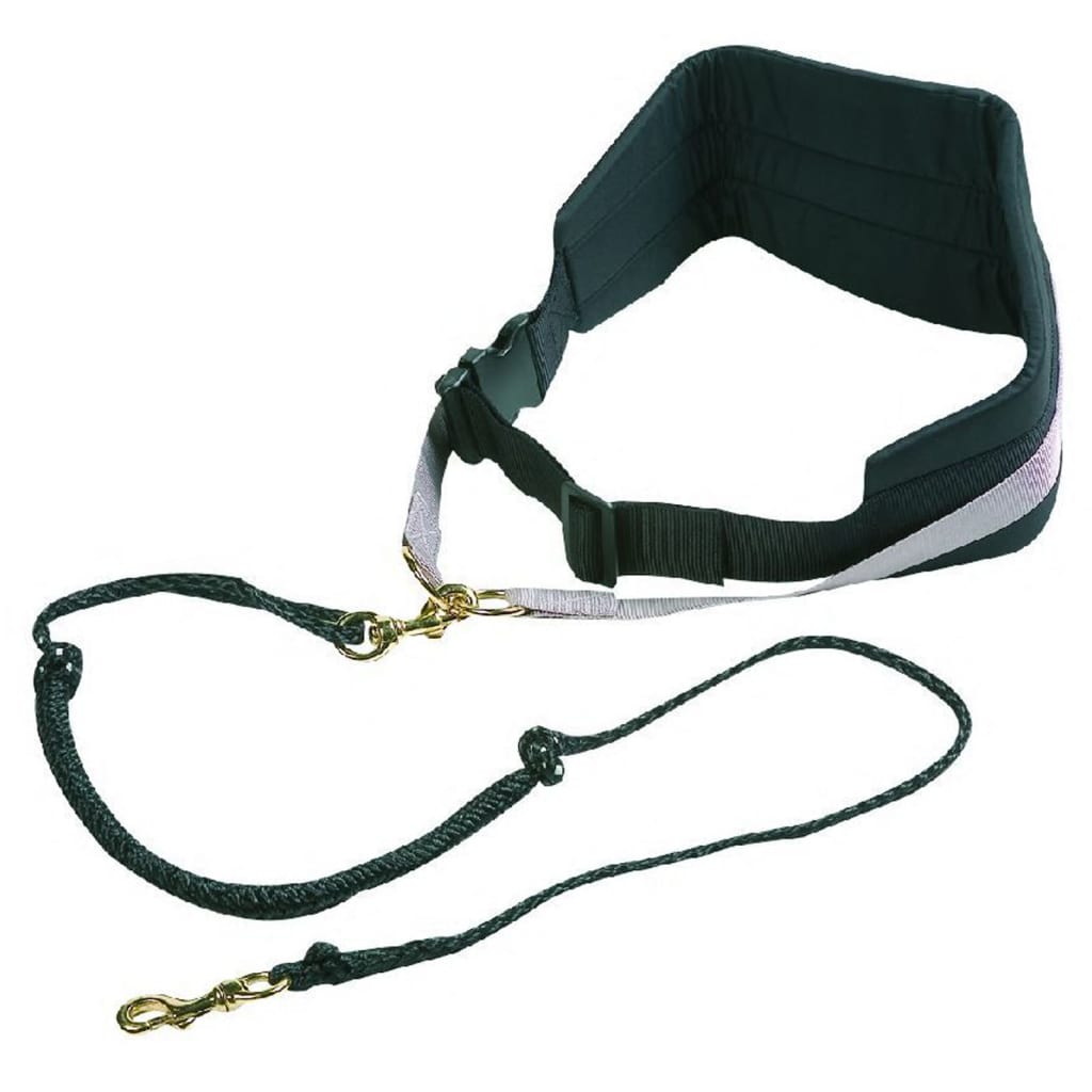 FLAMINGO Pas do biegania z elastyczną smyczą dla psa Canicross, czarny