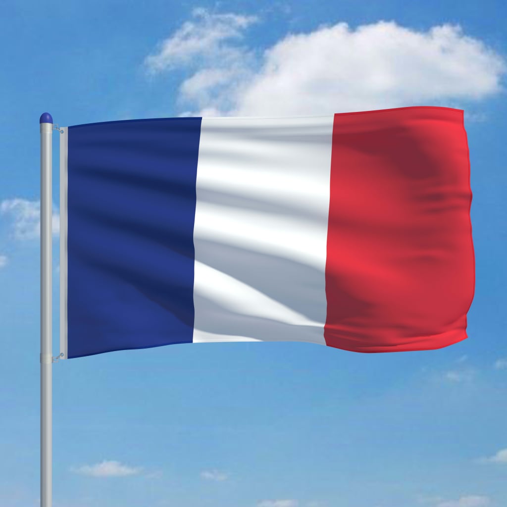 vidaXL Flaga Francji z aluminiowym masztem, 6 m