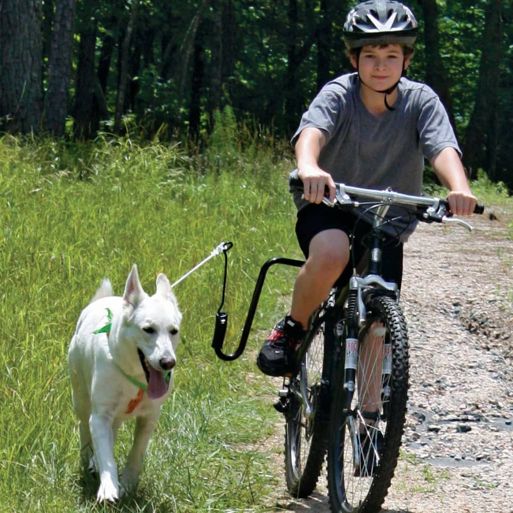 SPRINGER Wysięgnik rowerowy dla psa