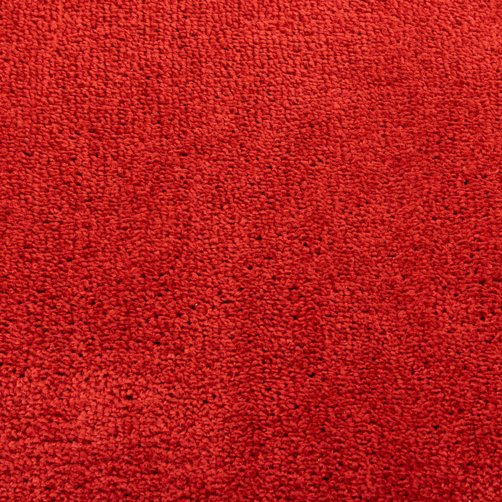vidaXL Dywan OVIEDO z krótkim włosiem, czerwony, 240x340 cm