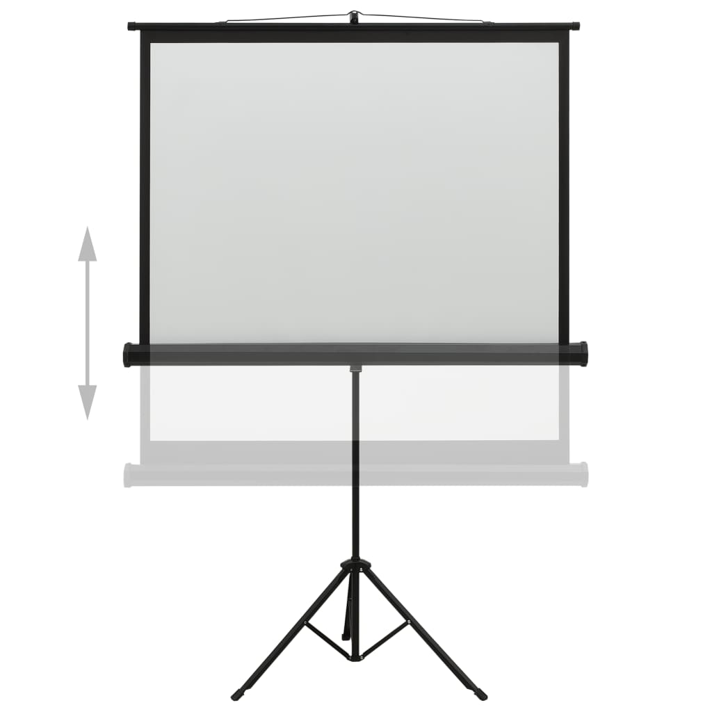 vidaXL Ekran projekcyjny ze stojakiem, 48'', 1:1