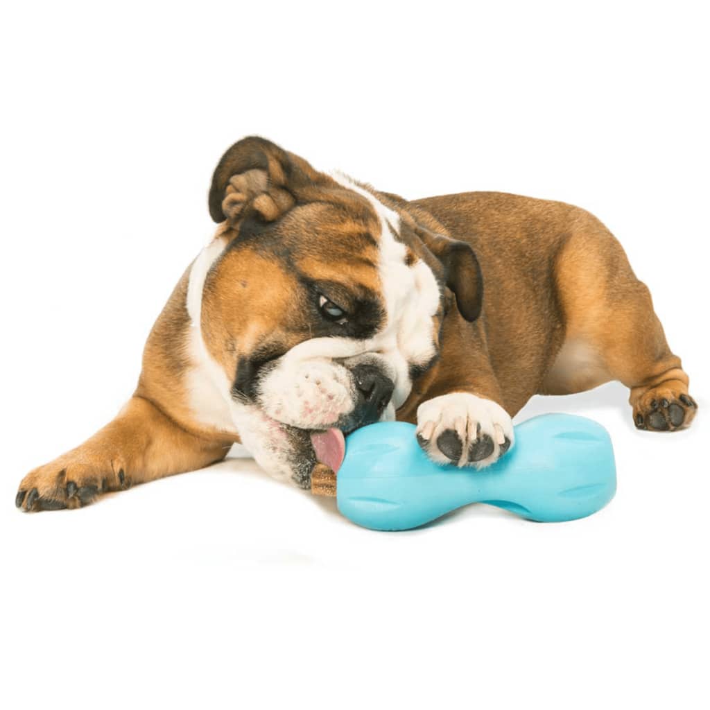 Zogoflex Zabawka na przysmaki dla psa Qwizl, rozmiar L, niebieska