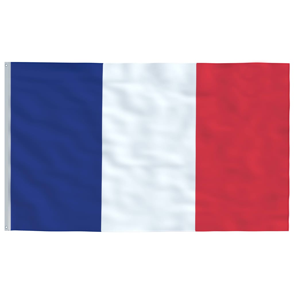 vidaXL Flaga Francji z masztem, 5,55 m, aluminium