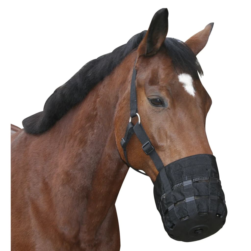 Covalliero Kaganiec dla konia, rozmiar shetty, czarny
