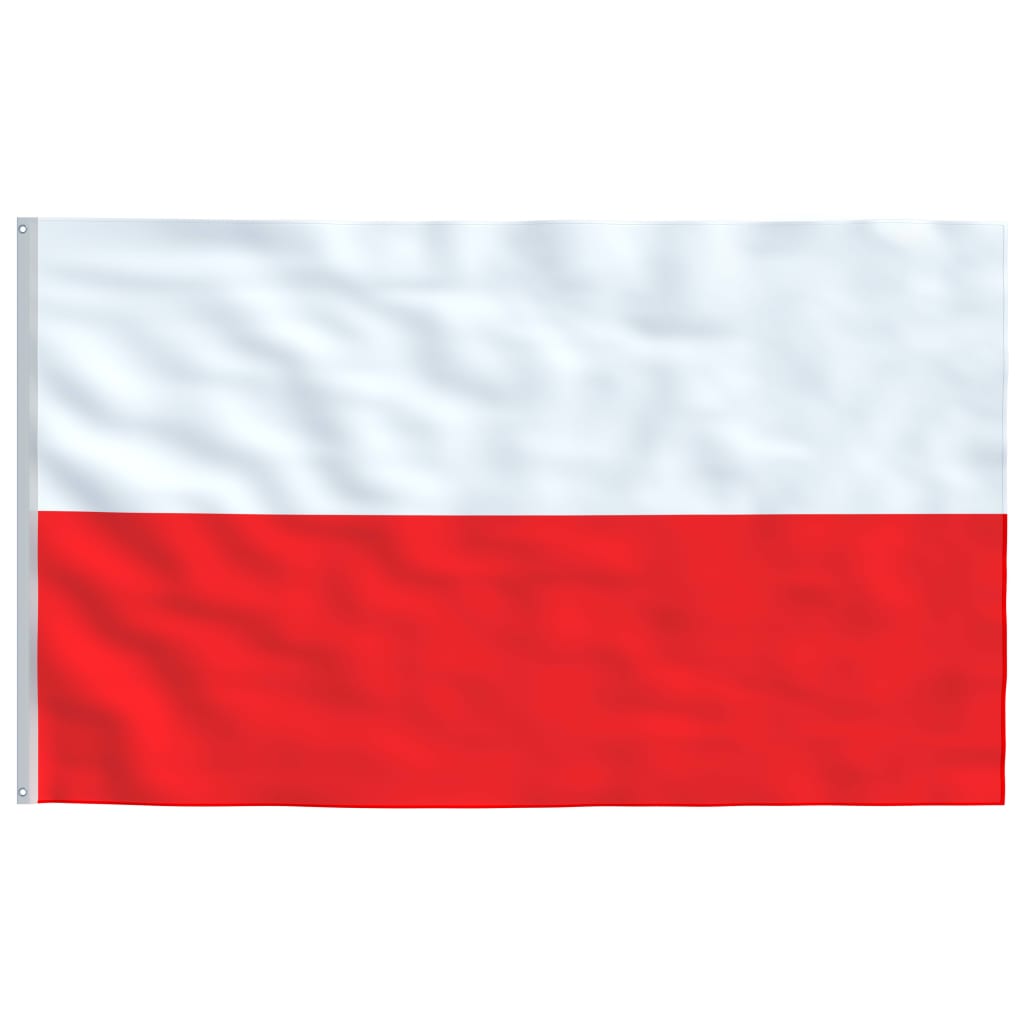 vidaXL Flaga Polski z masztem, 5,55 m, aluminium