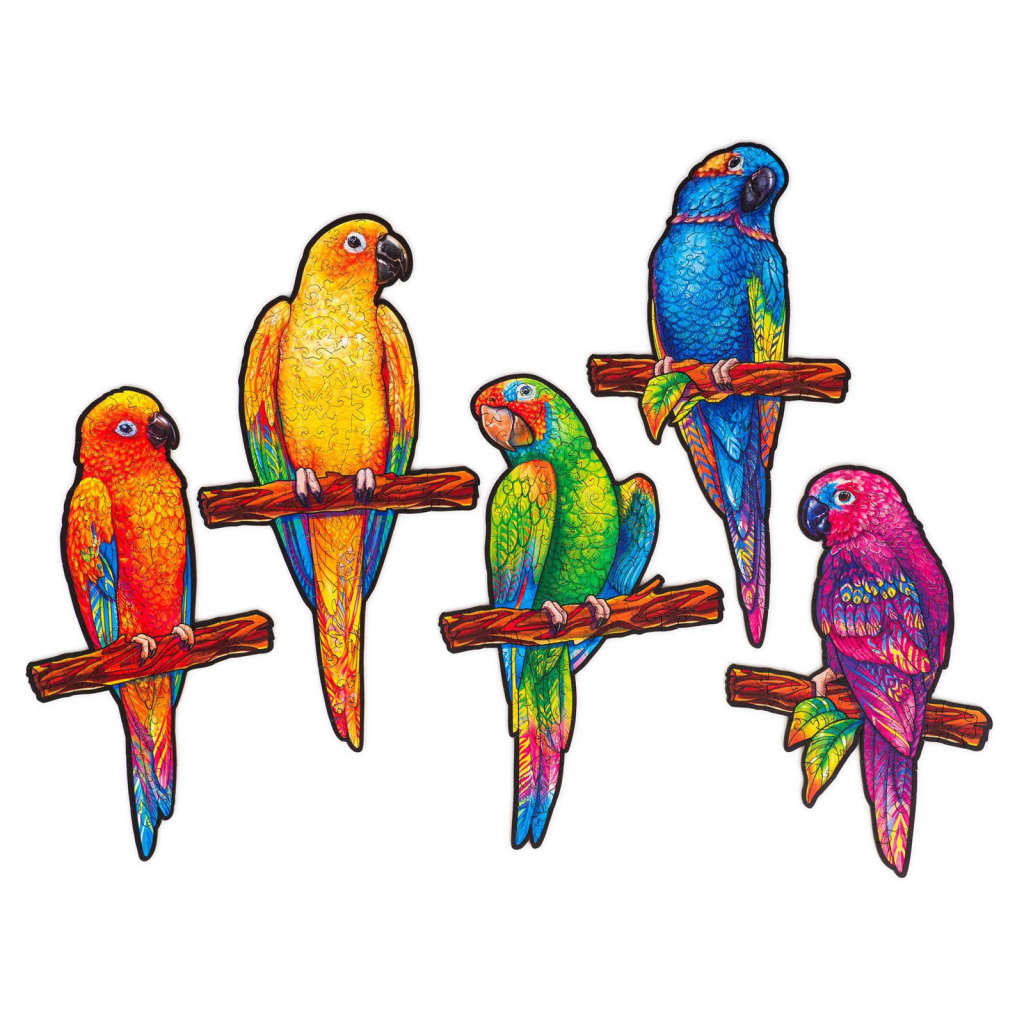 UNIDRAGON 291-cz drewniane puzzle Playful Parrots, King Size, 49x27 cm