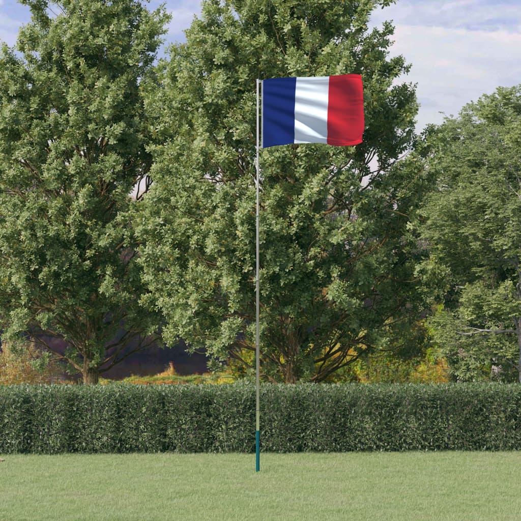 vidaXL Flaga Francji z masztem, 5,55 m, aluminium
