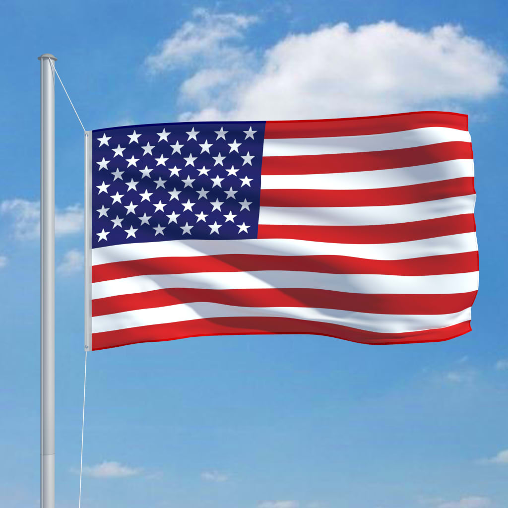 vidaXL Flaga Stanów Zjednoczonych, 90x150 cm