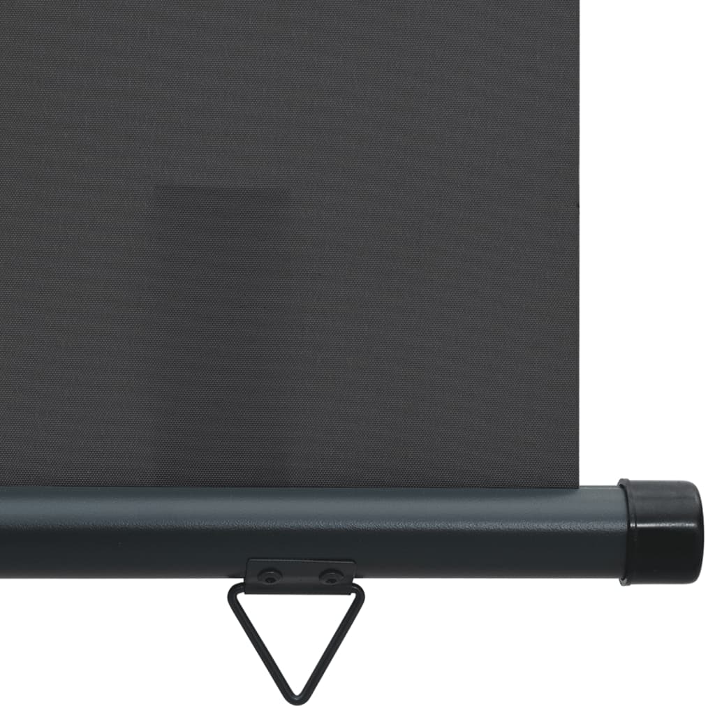 vidaXL Markiza boczna na balkon, 165x250 cm, czarna