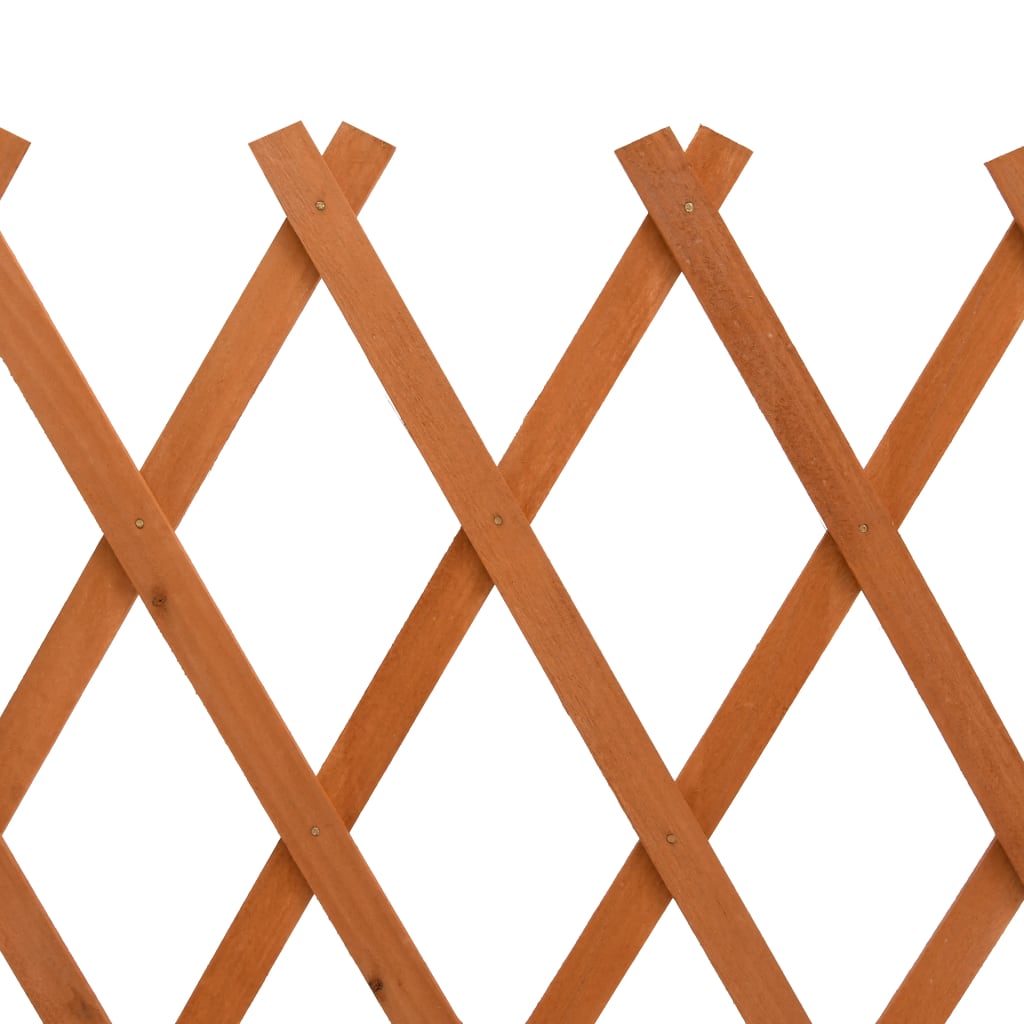 vidaXL Ogrodowy płot kratkowy, pomarańczowy, 120x60 cm, drewno jodłowe