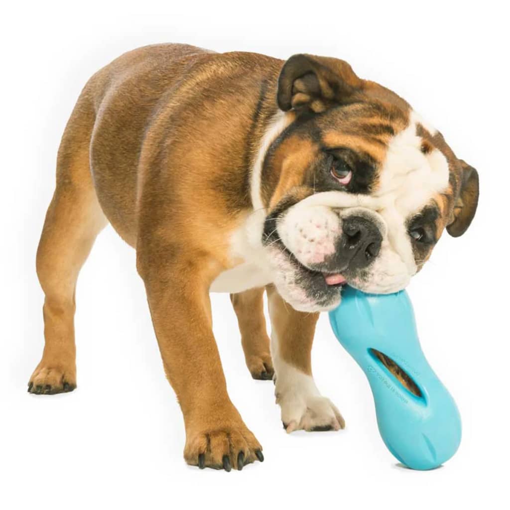 Zogoflex Zabawka na przysmaki dla psa Qwizl, rozmiar L, niebieska