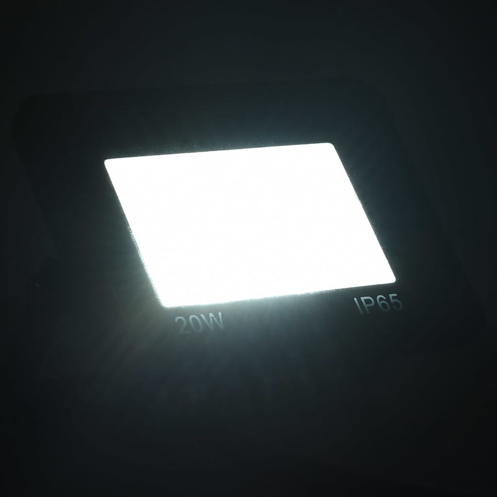 vidaXL Reflektory LED, 2 szt., 20 W, zimne białe światło