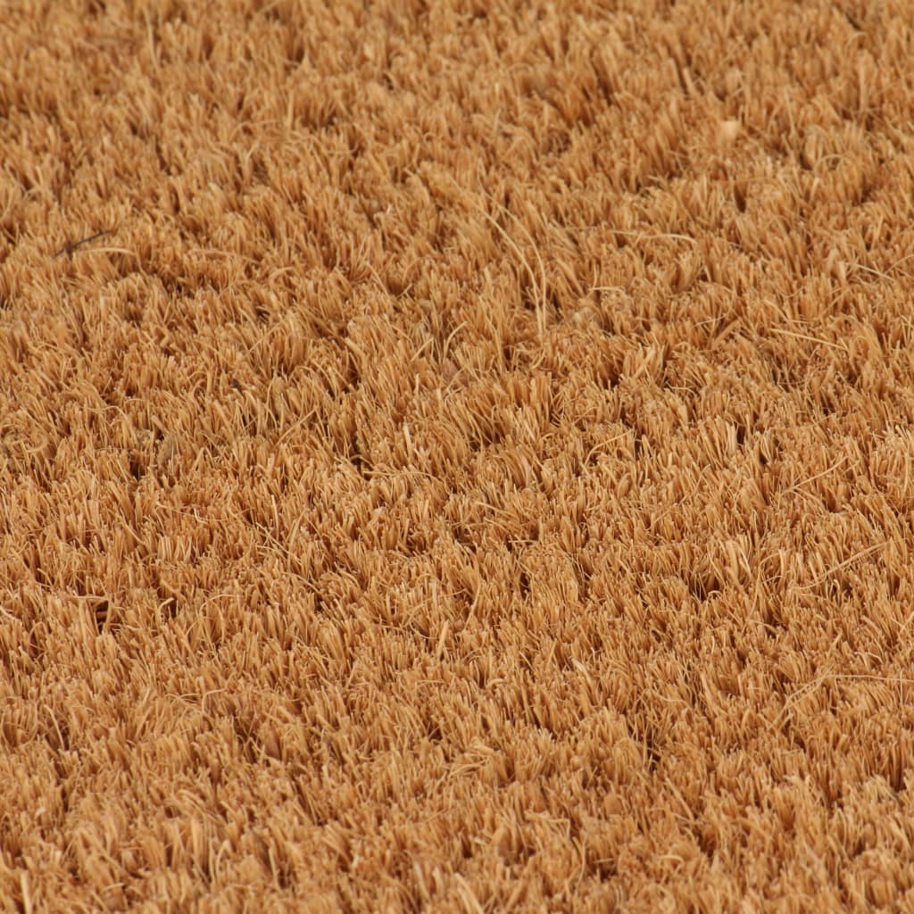 vidaXL Wycieraczki z włókna kokosowego, 2 szt., 40x60 cm, naturalne