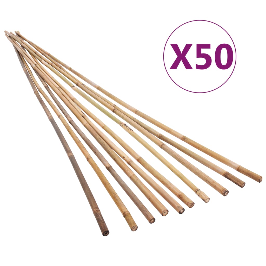 vidaXL Tyczki bambusowe do ogrodu, 50 szt., 170 cm