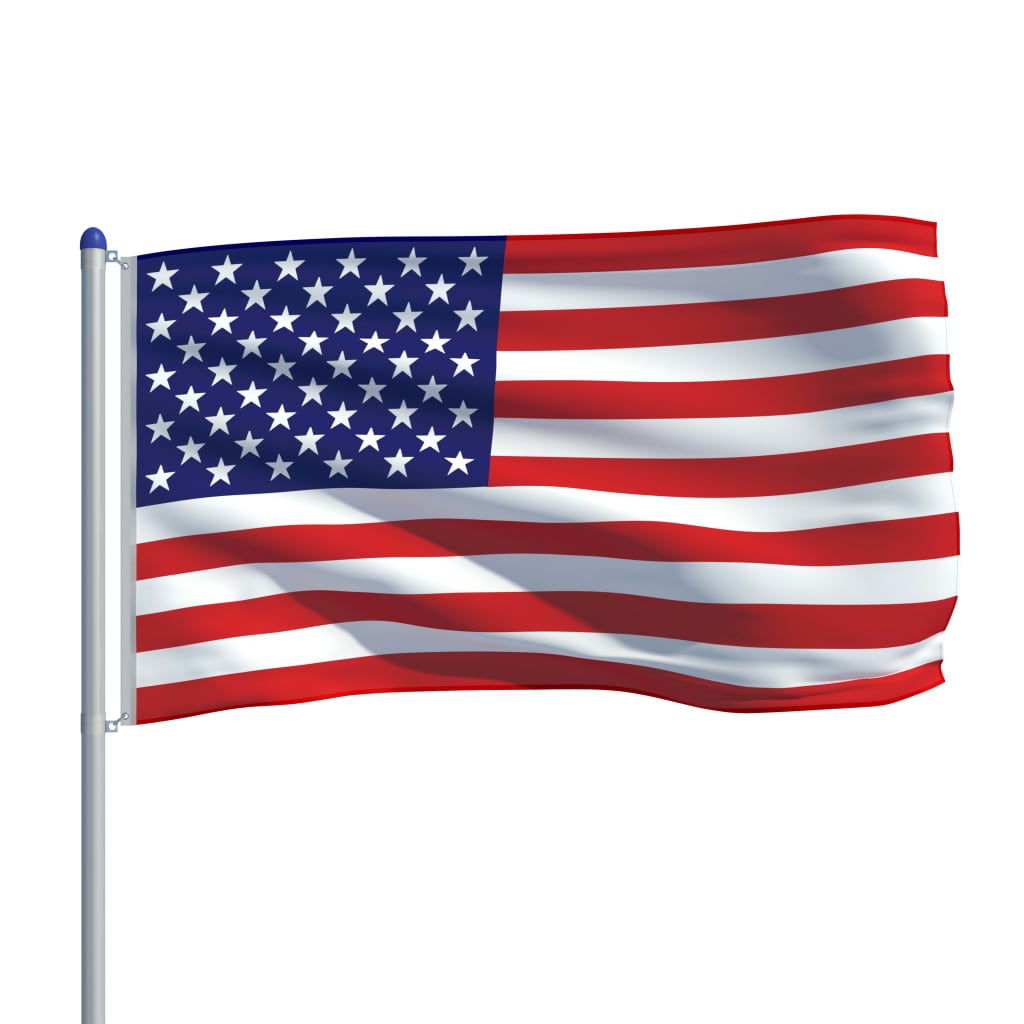 vidaXL Flaga USA z aluminiowym masztem, 6 m