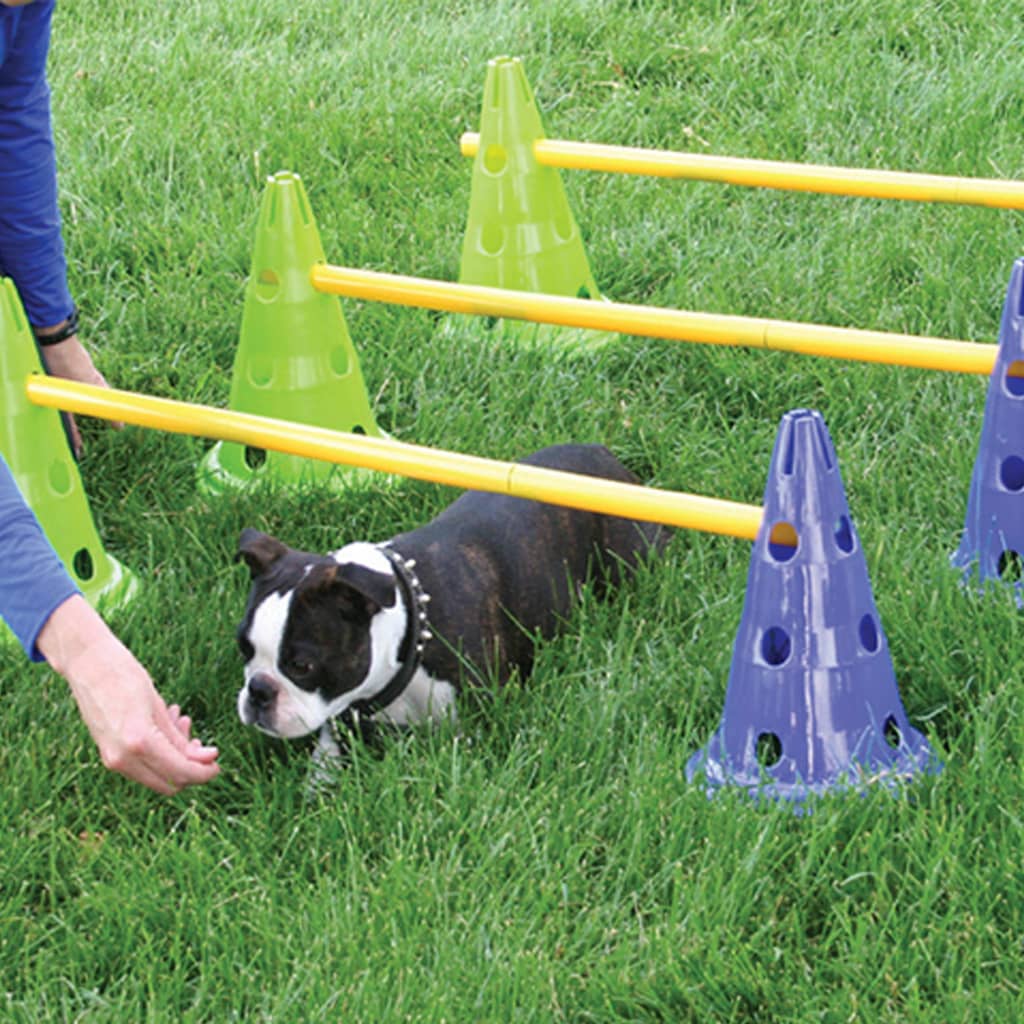 FitPAWS Zestaw do treningu agility dla psa Canine Gym
