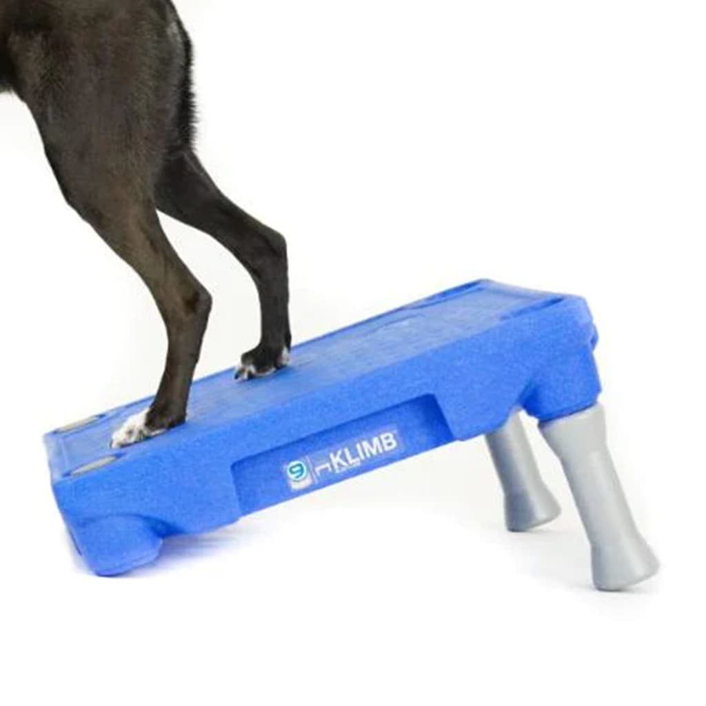 BLUE-9 Platforma do systemu treningowego psów KLIMB, niebieska