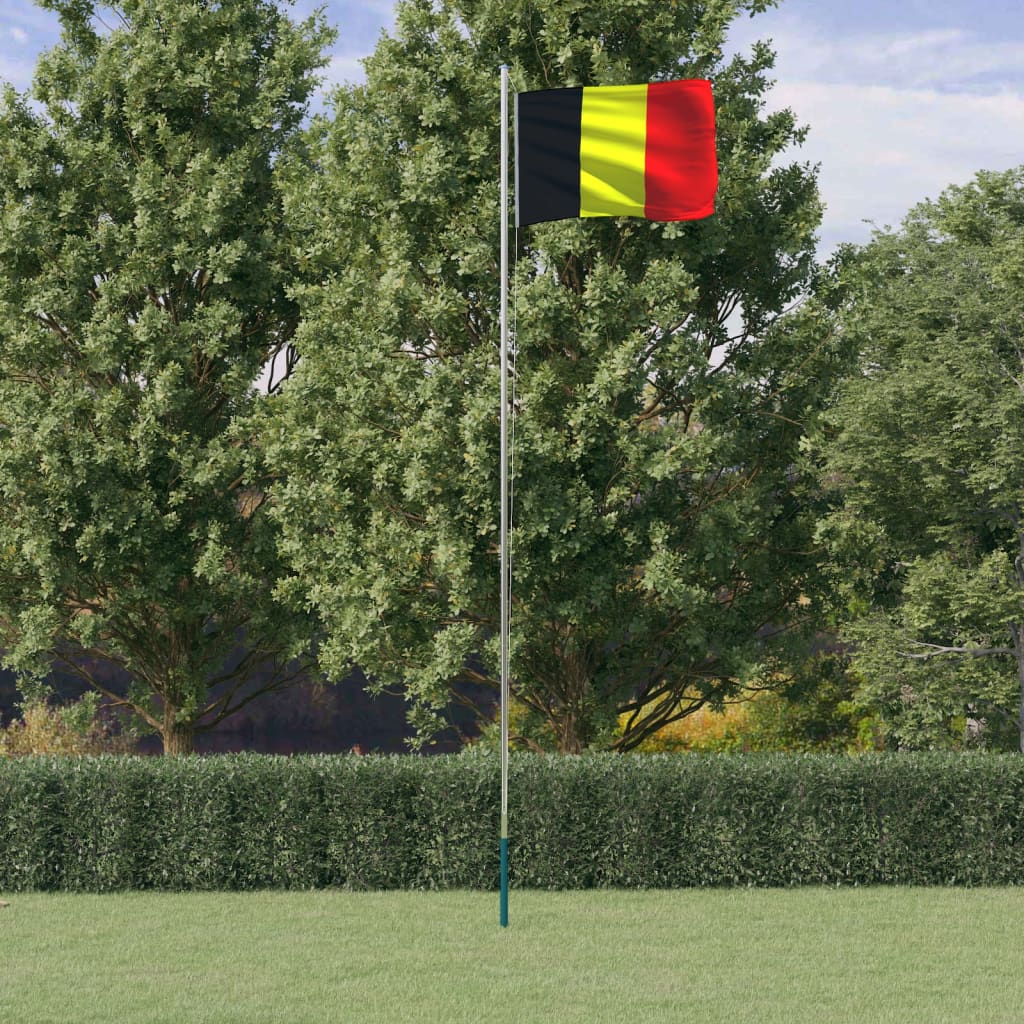 vidaXL Flaga Belgii z masztem, 6,23 m, aluminium