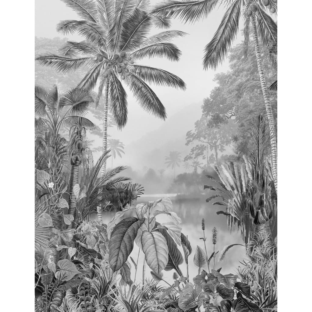 Komar Fototapeta Lac Tropical Black & White, 200x270 cm