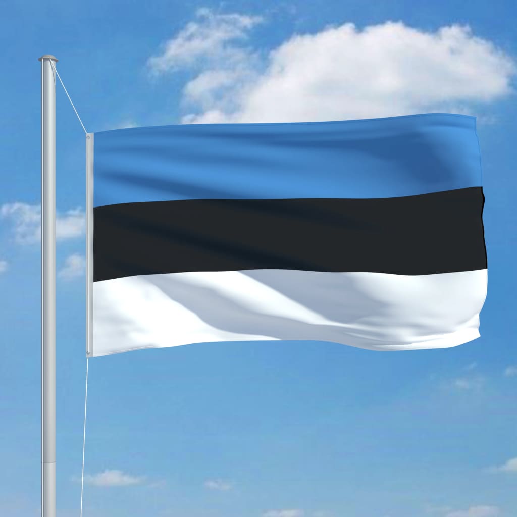 vidaXL Flaga Estonii z aluminiowym masztem, 6,2 m